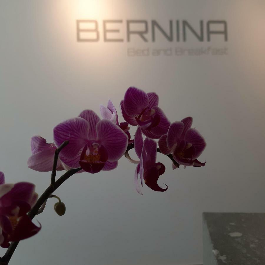 Bernina Bed And Breakfast Davos Eksteriør billede